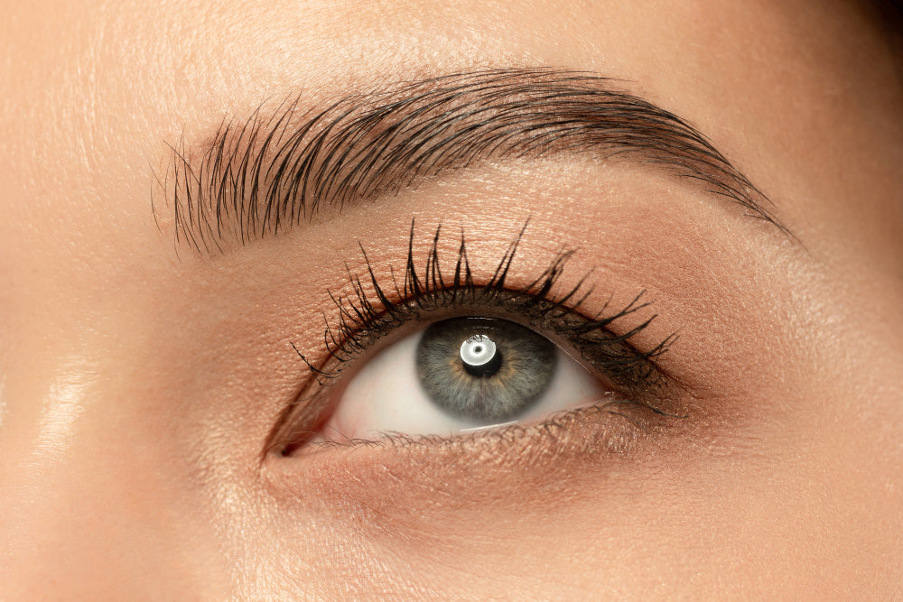 Enhance brow highlighter
